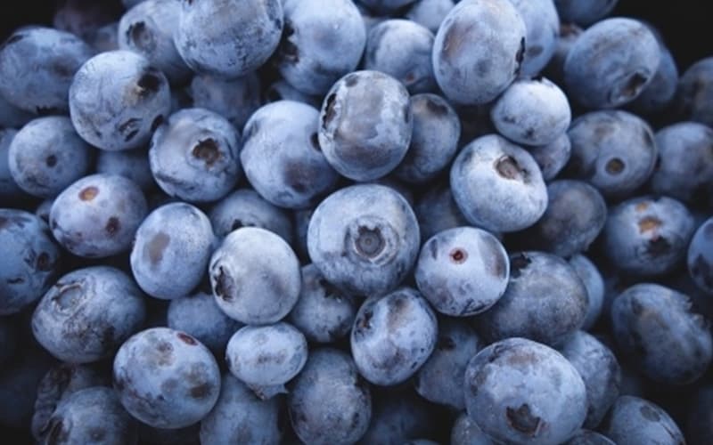 images/1671608596264exportación de frutas peruanas1.jpg